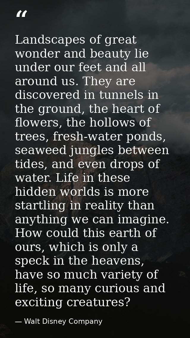 Landscapes of great wonder and beauty lie under our feet and all around us. They are discovered in tunnels in the ground — Walt Disney Company