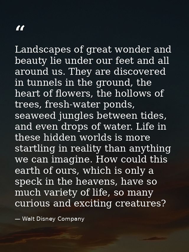 Landscapes of great wonder and beauty lie under our feet and all around us. They are discovered in tunnels in the ground — Walt Disney Company