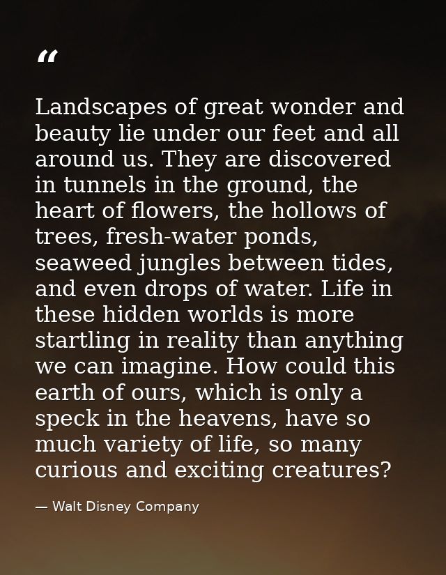 Landscapes of great wonder and beauty lie under our feet and all around us. They are discovered in tunnels in the ground — Walt Disney Company