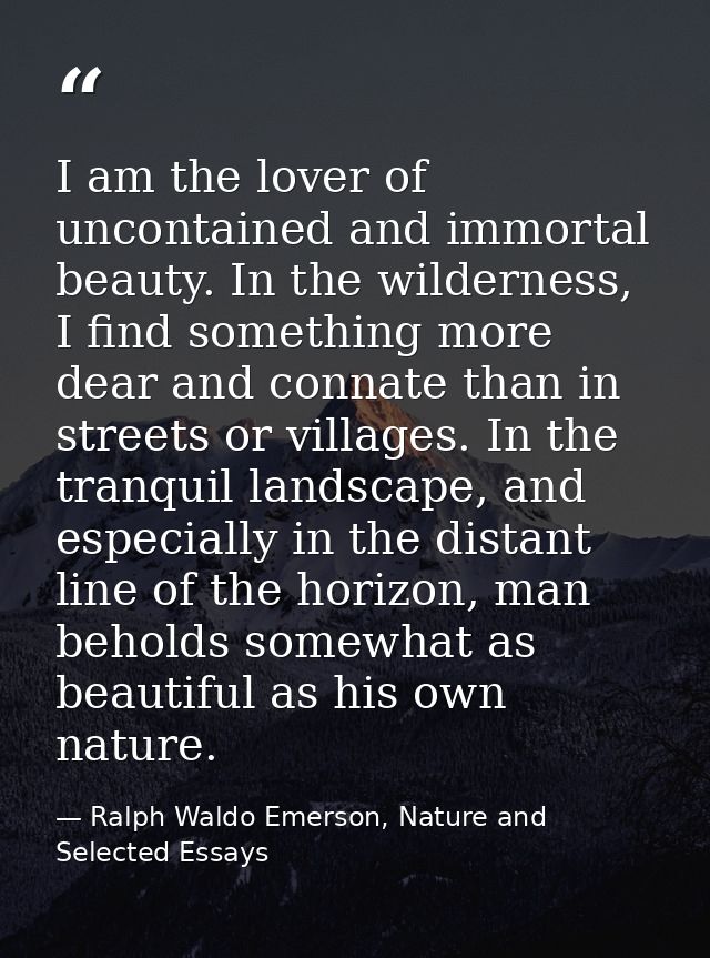 I am the lover of uncontained and immortal beauty. In the wilderness, I find something more dear and connate than in str — Ralph Waldo Emerson, Nature and Selected Essays