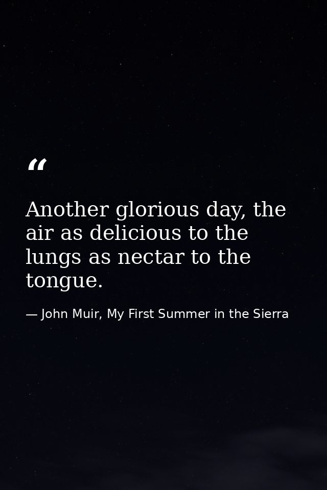 Another glorious day, the air as delicious to the lungs as nectar to the tongue. — John Muir, My First Summer in the Sierra