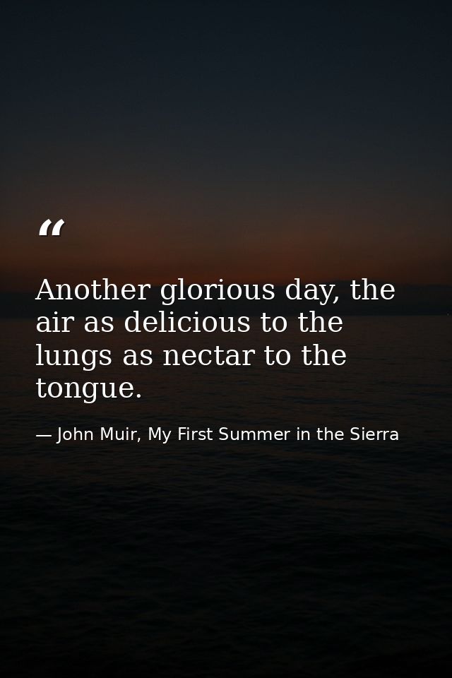 Another glorious day, the air as delicious to the lungs as nectar to the tongue. — John Muir, My First Summer in the Sierra