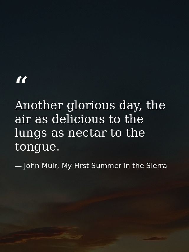 Another glorious day, the air as delicious to the lungs as nectar to the tongue. — John Muir, My First Summer in the Sierra