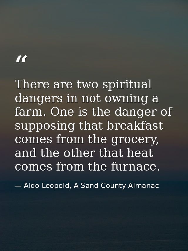 There are two spiritual dangers in not owning a farm. One is the danger of supposing that breakfast comes from the groce — Aldo Leopold, A Sand County Almanac