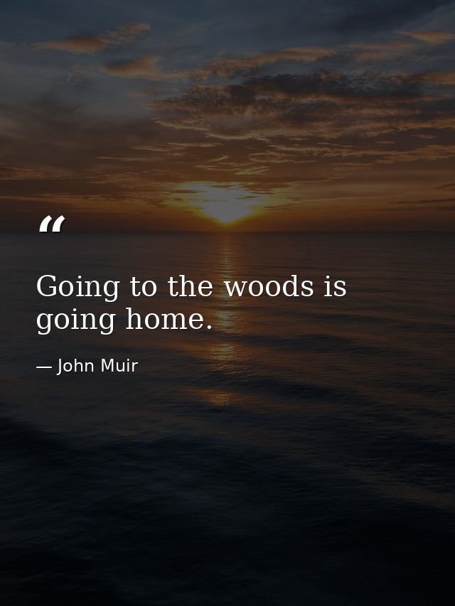 Going to the woods is going home. — John Muir
