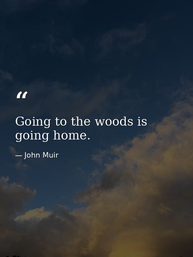 Going to the woods is going home. — John Muir