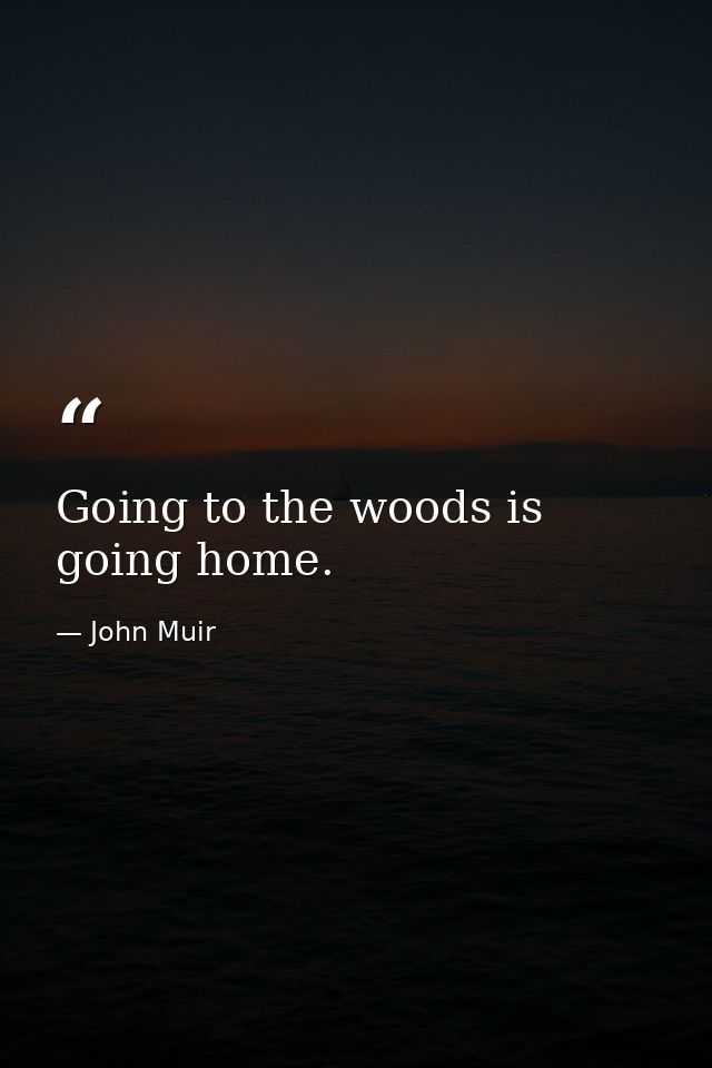 Going to the woods is going home. — John Muir