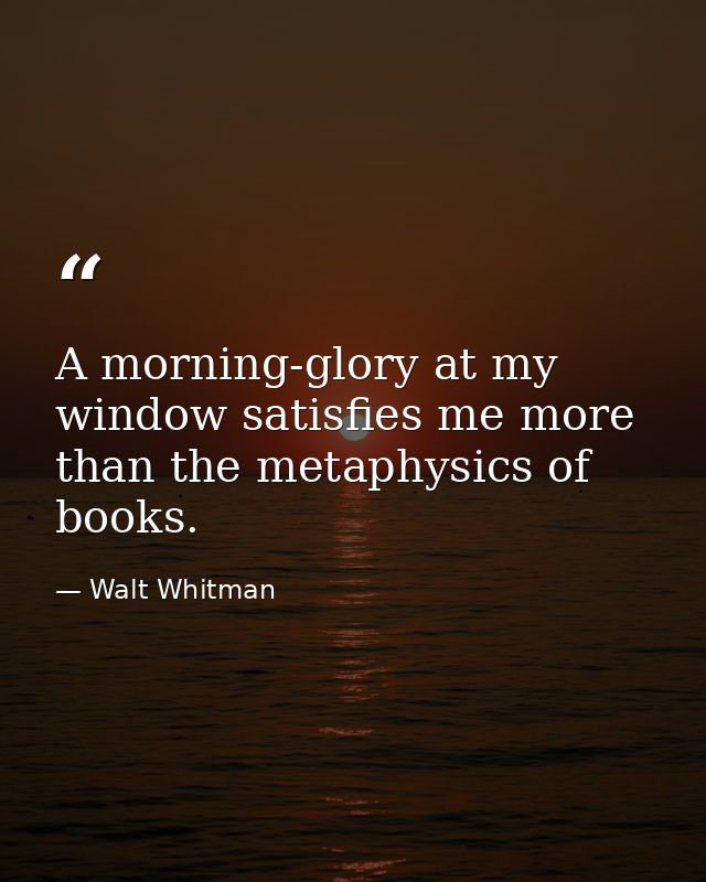 A morning-glory at my window satisfies me more than the metaphysics of books. — Walt Whitman