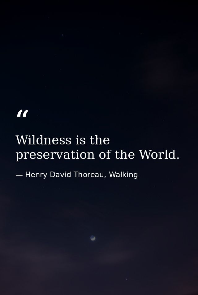 Wildness is the preservation of the World. — Henry David Thoreau, Walking