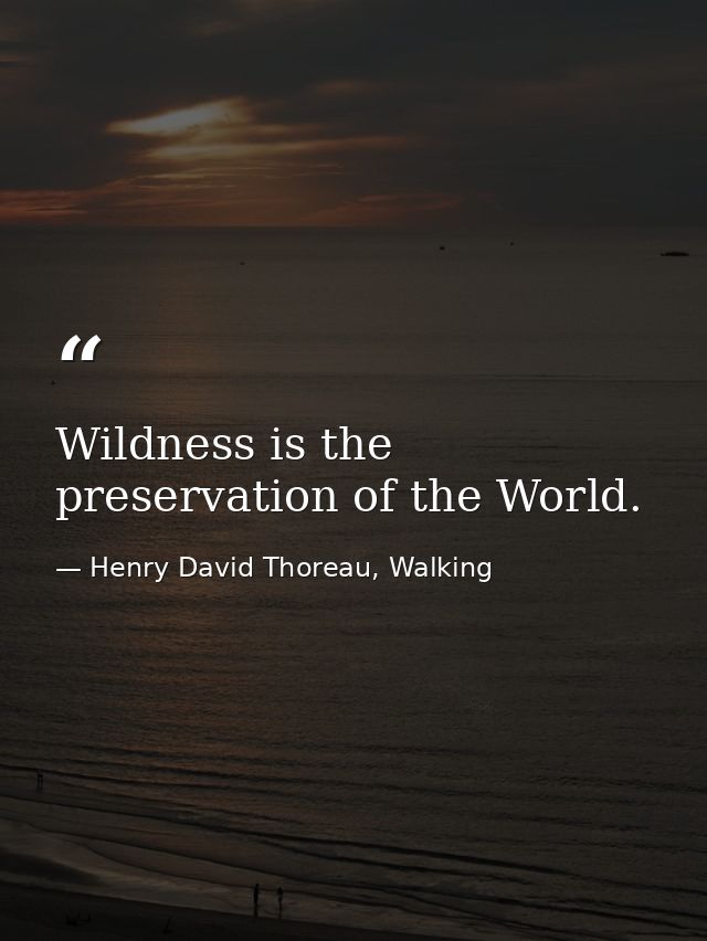 Wildness is the preservation of the World. — Henry David Thoreau, Walking