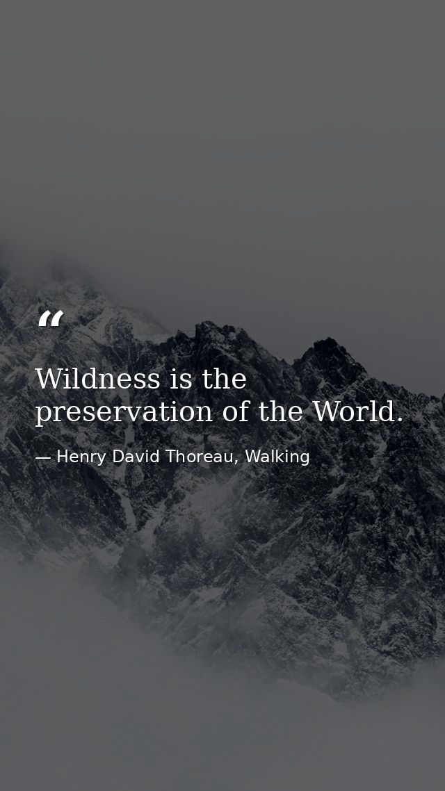 Wildness is the preservation of the World. — Henry David Thoreau, Walking