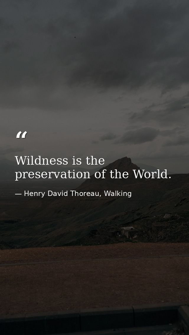 Wildness is the preservation of the World. — Henry David Thoreau, Walking