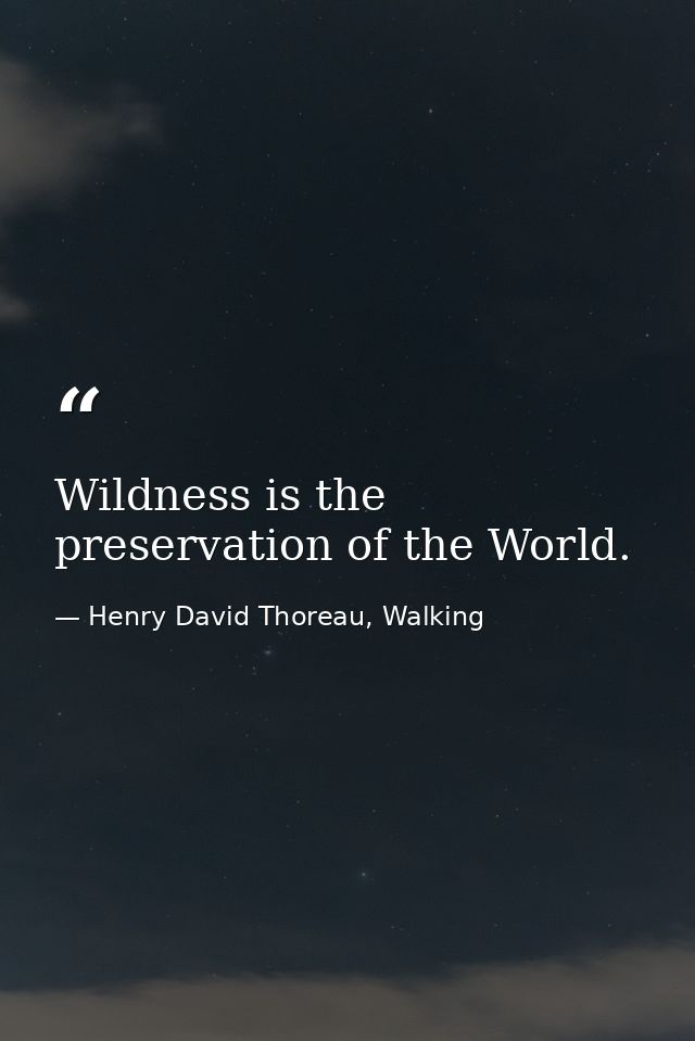 Wildness is the preservation of the World. — Henry David Thoreau, Walking