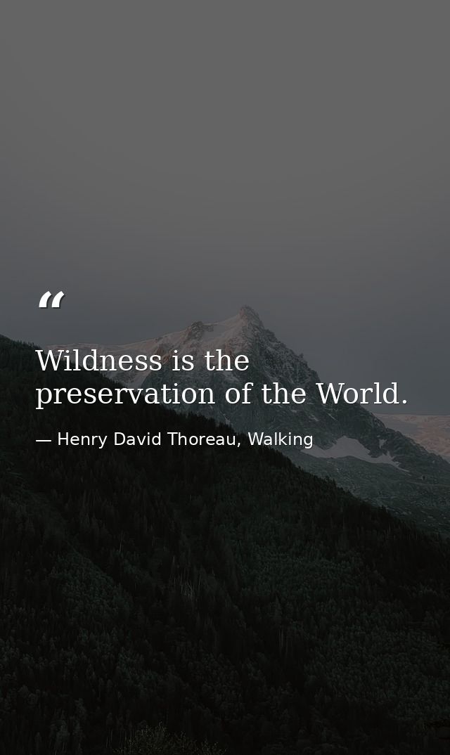 Wildness is the preservation of the World. — Henry David Thoreau, Walking