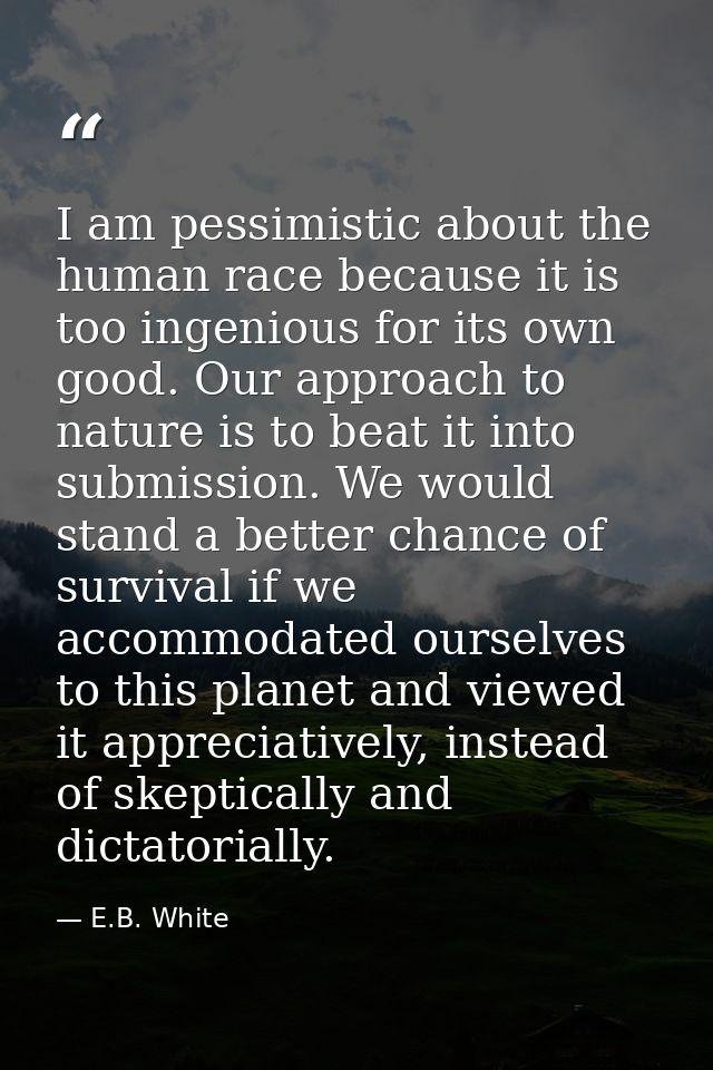 I am pessimistic about the human race because it is too ingenious for its own good. Our approach to nature is to beat it — E.B. White