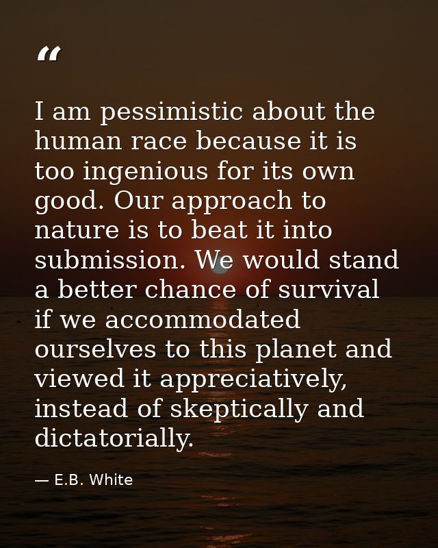 I am pessimistic about the human race because it is too ingenious for its own good. Our approach to nature is to beat it — E.B. White