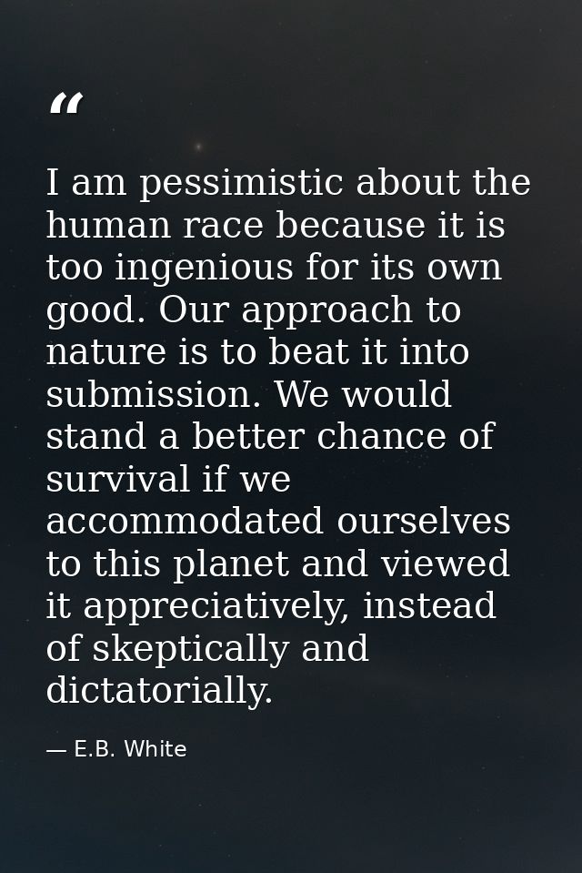 I am pessimistic about the human race because it is too ingenious for its own good. Our approach to nature is to beat it — E.B. White
