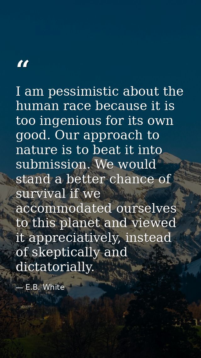 I am pessimistic about the human race because it is too ingenious for its own good. Our approach to nature is to beat it — E.B. White