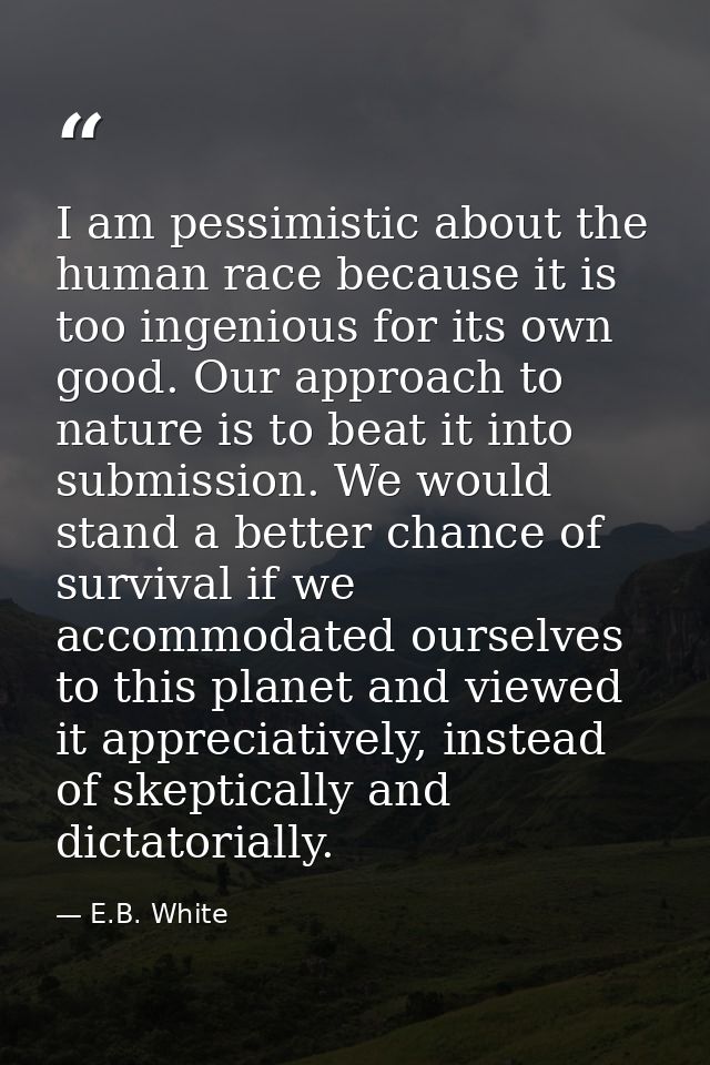 I am pessimistic about the human race because it is too ingenious for its own good. Our approach to nature is to beat it — E.B. White