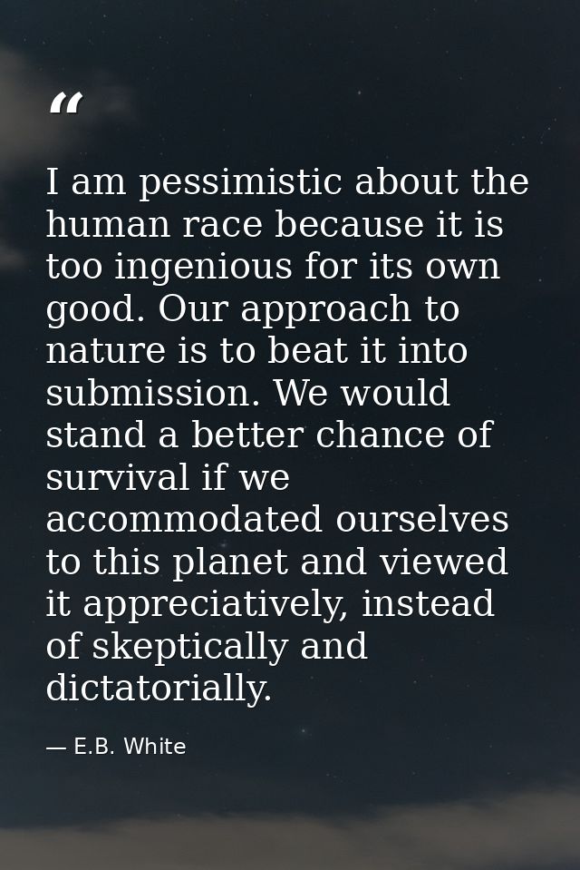 I am pessimistic about the human race because it is too ingenious for its own good. Our approach to nature is to beat it — E.B. White