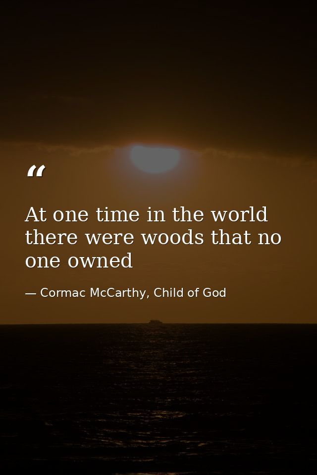 At one time in the world there were woods that no one owned — Cormac McCarthy, Child of God