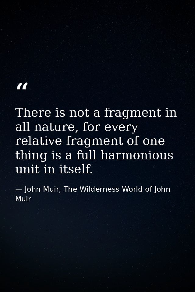 There is not a fragment in all nature, for every relative fragment of one thing is a full harmonious unit in itself. — John Muir, The Wilderness World of John Muir