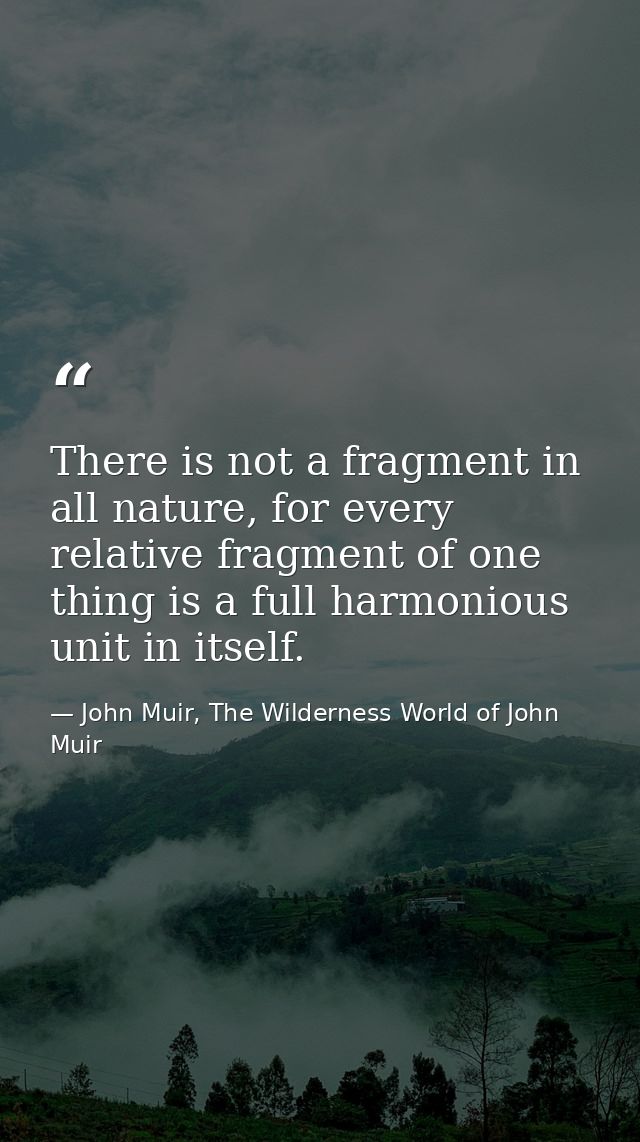 There is not a fragment in all nature, for every relative fragment of one thing is a full harmonious unit in itself. — John Muir, The Wilderness World of John Muir