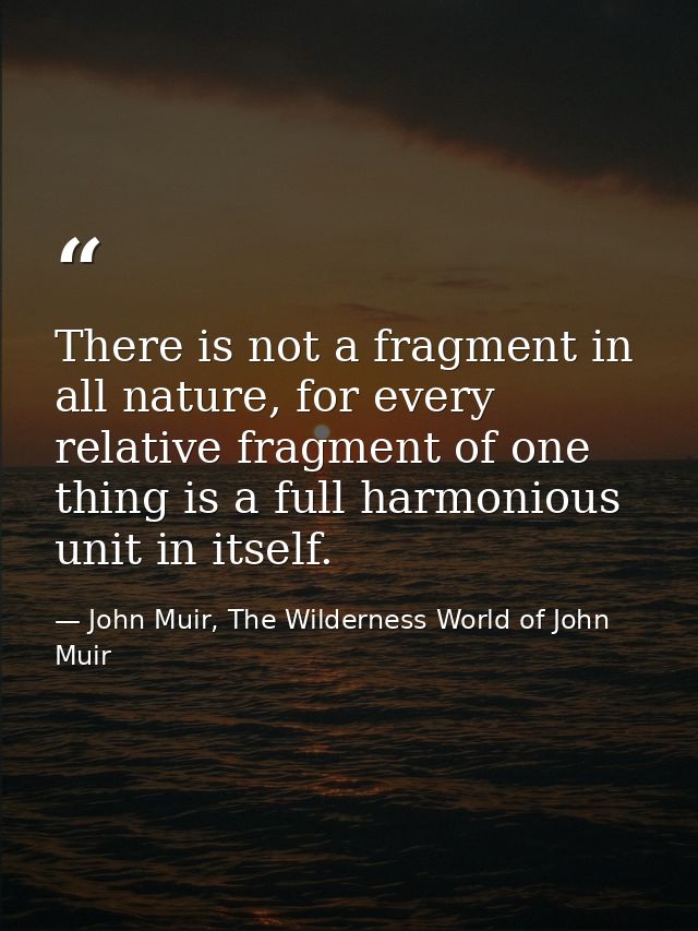 There is not a fragment in all nature, for every relative fragment of one thing is a full harmonious unit in itself. — John Muir, The Wilderness World of John Muir