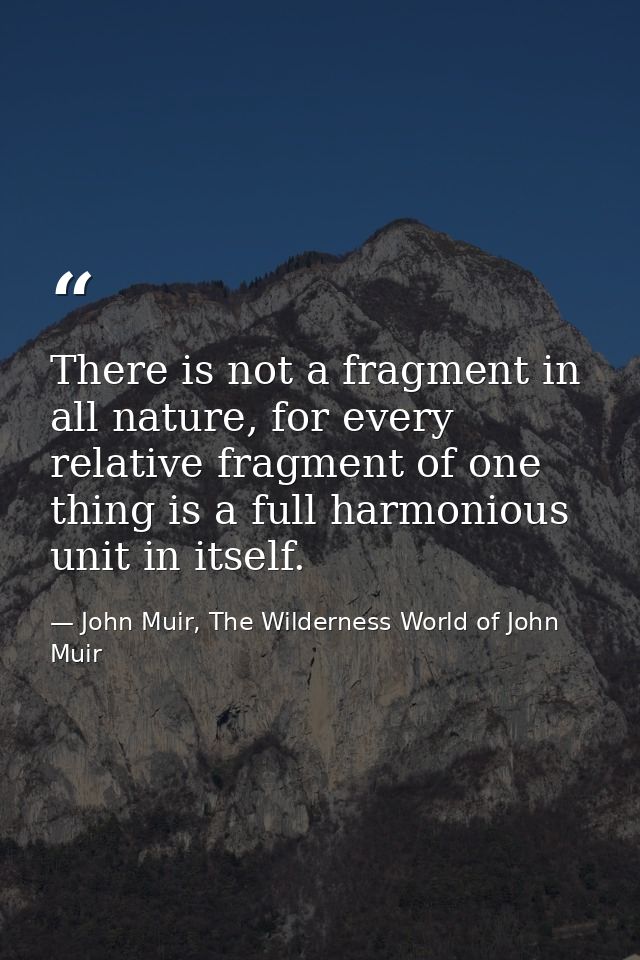 There is not a fragment in all nature, for every relative fragment of one thing is a full harmonious unit in itself. — John Muir, The Wilderness World of John Muir
