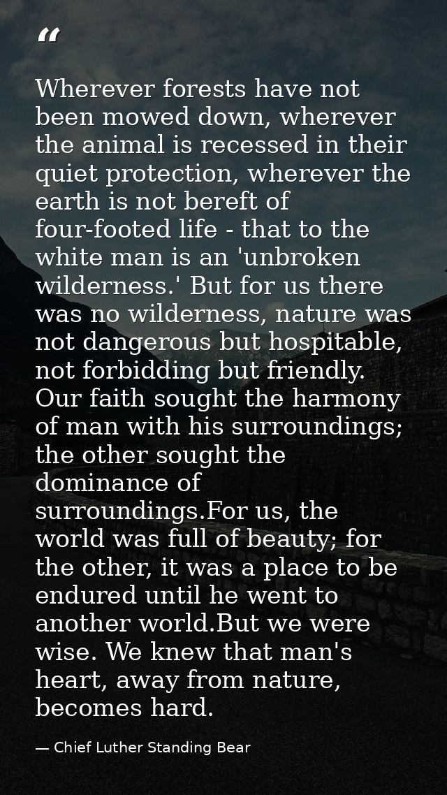 Wherever forests have not been mowed down, wherever the animal is recessed in their quiet protection, wherever the earth — Chief Luther Standing Bear