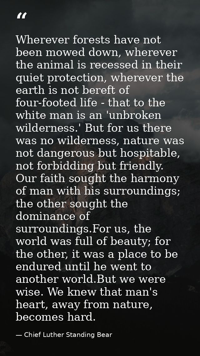 Wherever forests have not been mowed down, wherever the animal is recessed in their quiet protection, wherever the earth — Chief Luther Standing Bear