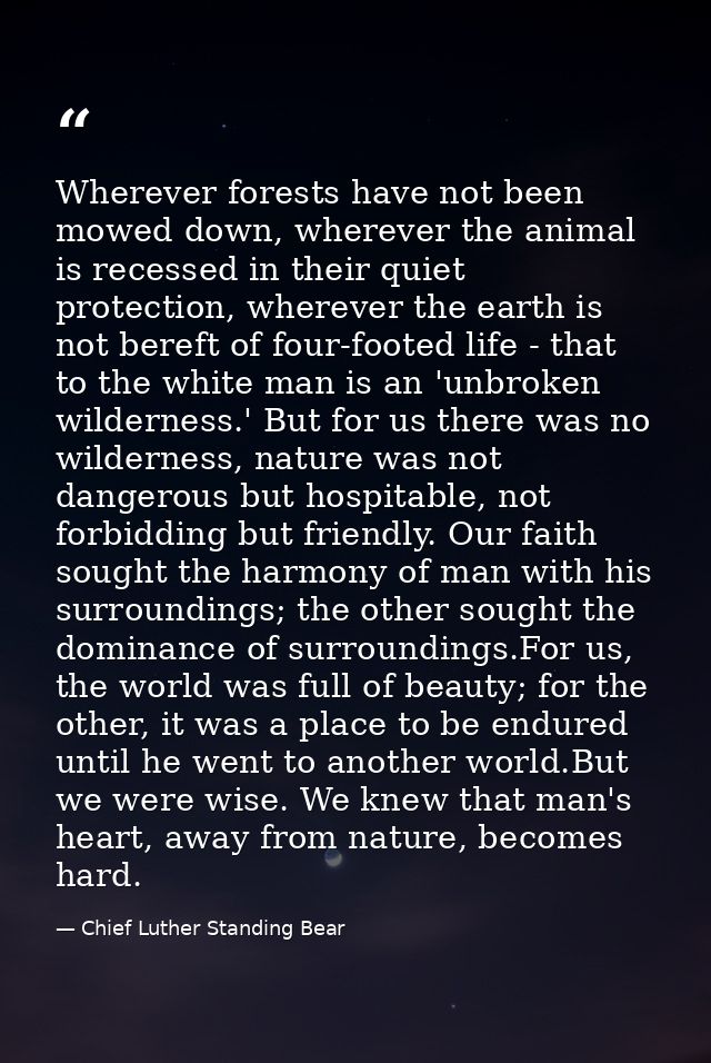 Wherever forests have not been mowed down, wherever the animal is recessed in their quiet protection, wherever the earth — Chief Luther Standing Bear
