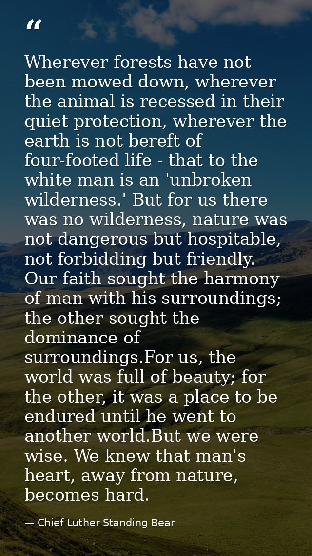 Wherever forests have not been mowed down, wherever the animal is recessed in their quiet protection, wherever the earth — Chief Luther Standing Bear