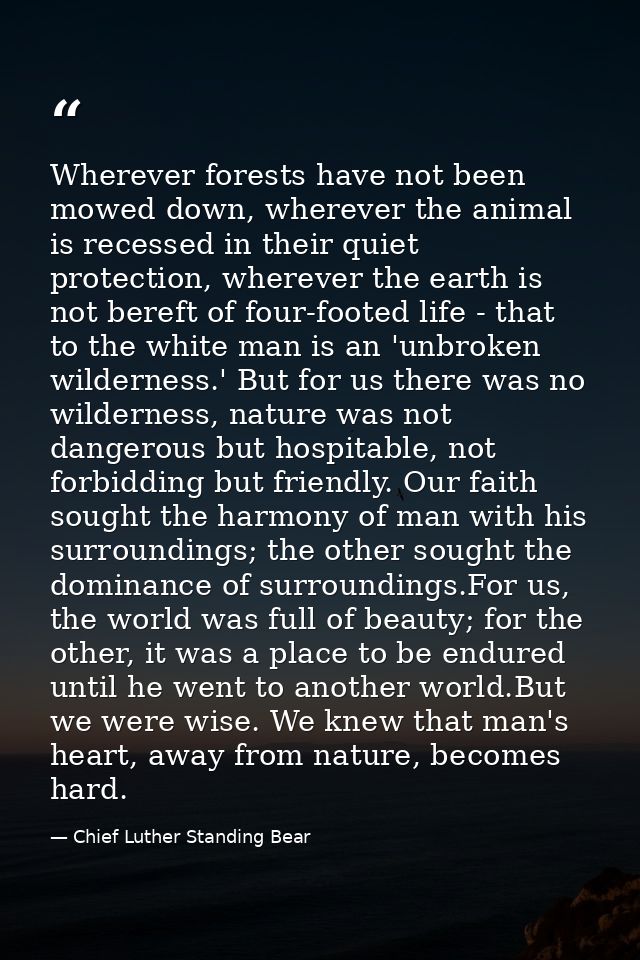 Wherever forests have not been mowed down, wherever the animal is recessed in their quiet protection, wherever the earth — Chief Luther Standing Bear