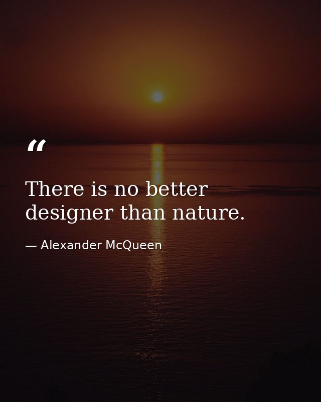 There is no better designer than nature. — Alexander McQueen