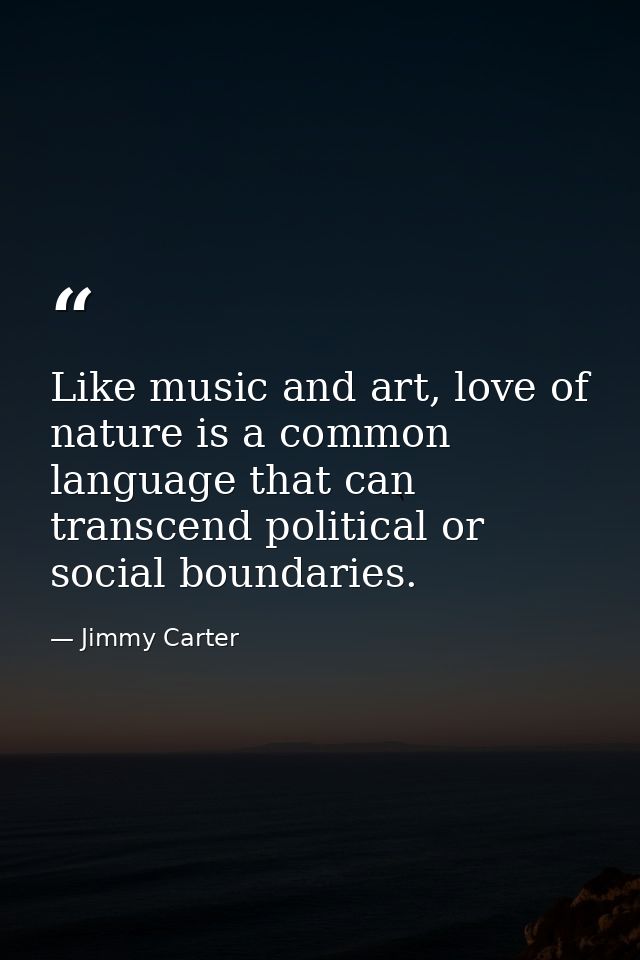 Like music and art, love of nature is a common language that can transcend political or social boundaries. — Jimmy Carter