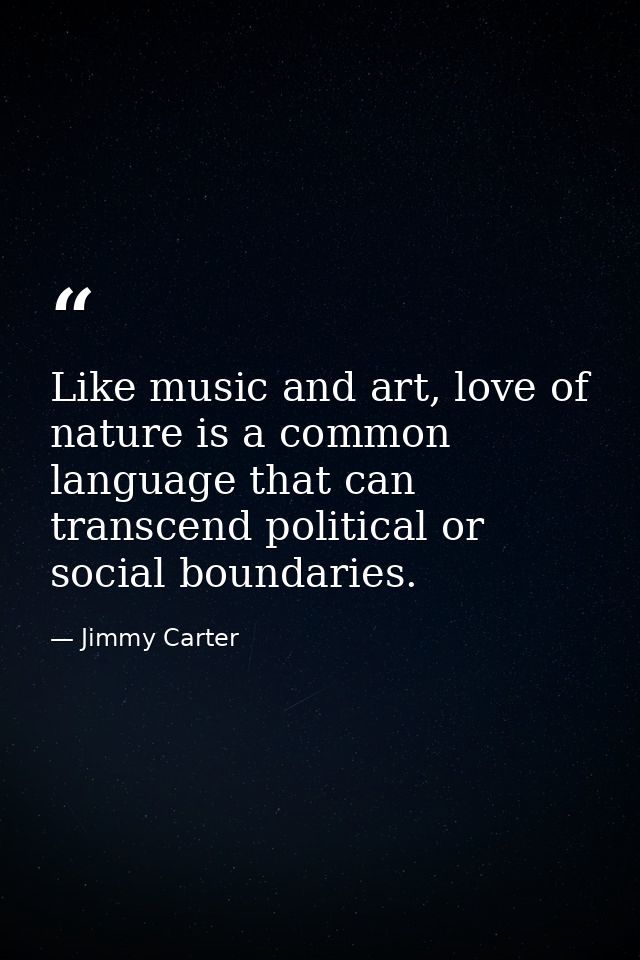 Like music and art, love of nature is a common language that can transcend political or social boundaries. — Jimmy Carter