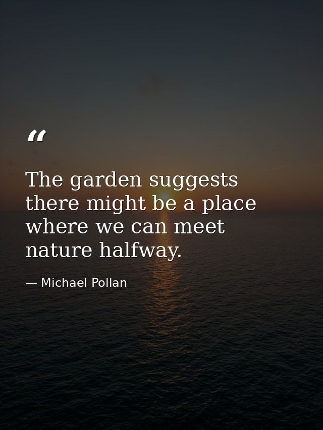 The garden suggests there might be a place where we can meet nature halfway. — Michael Pollan