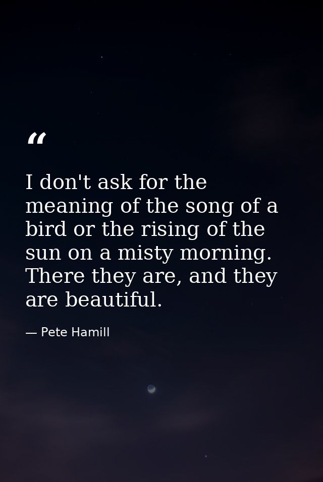 I don't ask for the meaning of the song of a bird or the rising of the sun on a misty morning. There they are, and they  — Pete Hamill