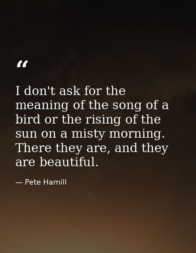 I don't ask for the meaning of the song of a bird or the rising of the sun on a misty morning. There they are, and they  — Pete Hamill