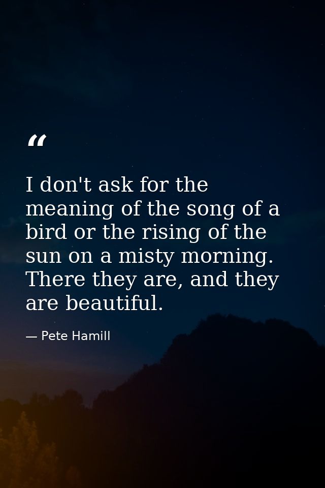 I don't ask for the meaning of the song of a bird or the rising of the sun on a misty morning. There they are, and they  — Pete Hamill