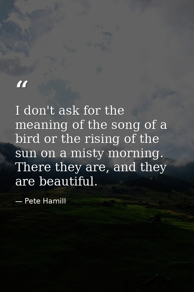 I don't ask for the meaning of the song of a bird or the rising of the sun on a misty morning. There they are, and they  — Pete Hamill