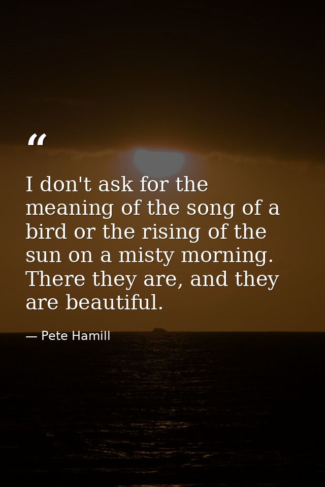 I don't ask for the meaning of the song of a bird or the rising of the sun on a misty morning. There they are, and they  — Pete Hamill