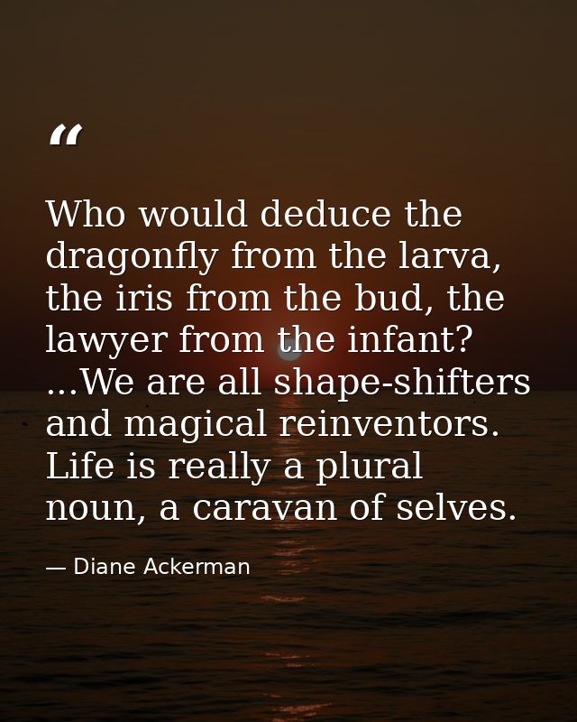 Who would deduce the dragonfly from the larva, the iris from the bud, the lawyer from the infant? ...We are all shape-sh — Diane Ackerman