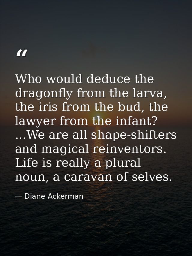 Who would deduce the dragonfly from the larva, the iris from the bud, the lawyer from the infant? ...We are all shape-sh — Diane Ackerman