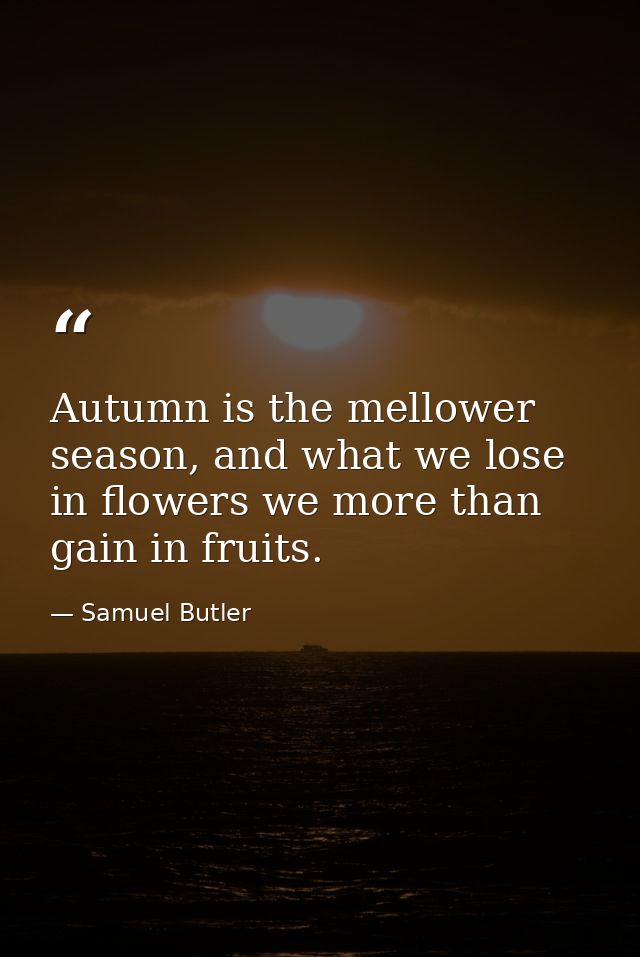Autumn is the mellower season, and what we lose in flowers we more than gain in fruits. — Samuel Butler