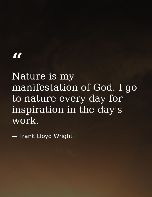 Nature is my manifestation of God. I go to nature every day for inspiration in the day's work. — Frank Lloyd Wright