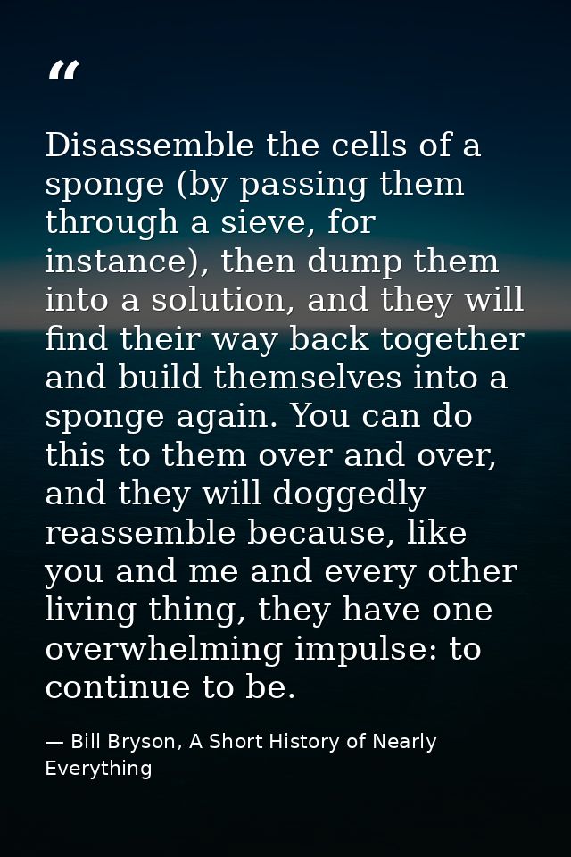 Disassemble the cells of a sponge (by passing them through a sieve, for instance), then dump them into a solution, and t — Bill Bryson, A Short History of Nearly Everything