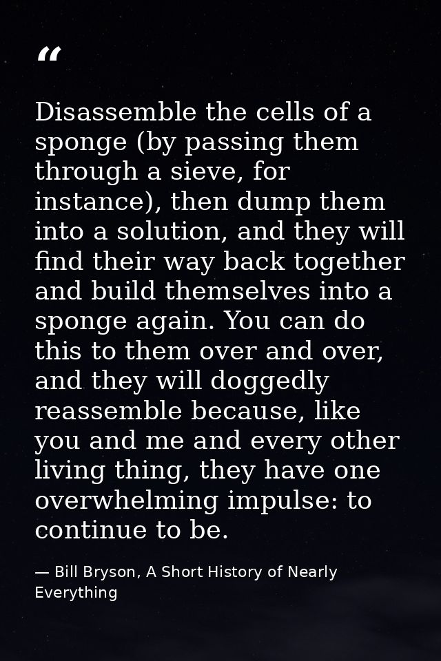 Disassemble the cells of a sponge (by passing them through a sieve, for instance), then dump them into a solution, and t — Bill Bryson, A Short History of Nearly Everything