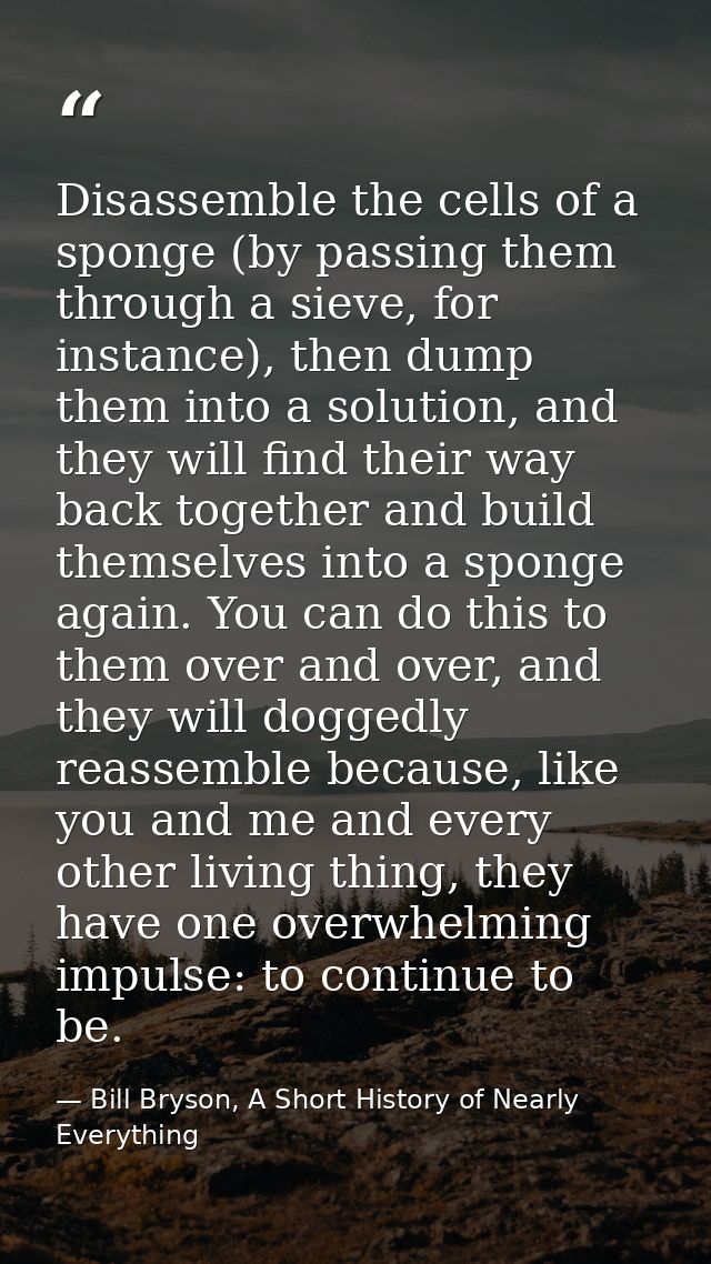 Disassemble the cells of a sponge (by passing them through a sieve, for instance), then dump them into a solution, and t — Bill Bryson, A Short History of Nearly Everything